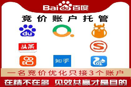 百度优化推广案例剖析：某电商平台的成功之路